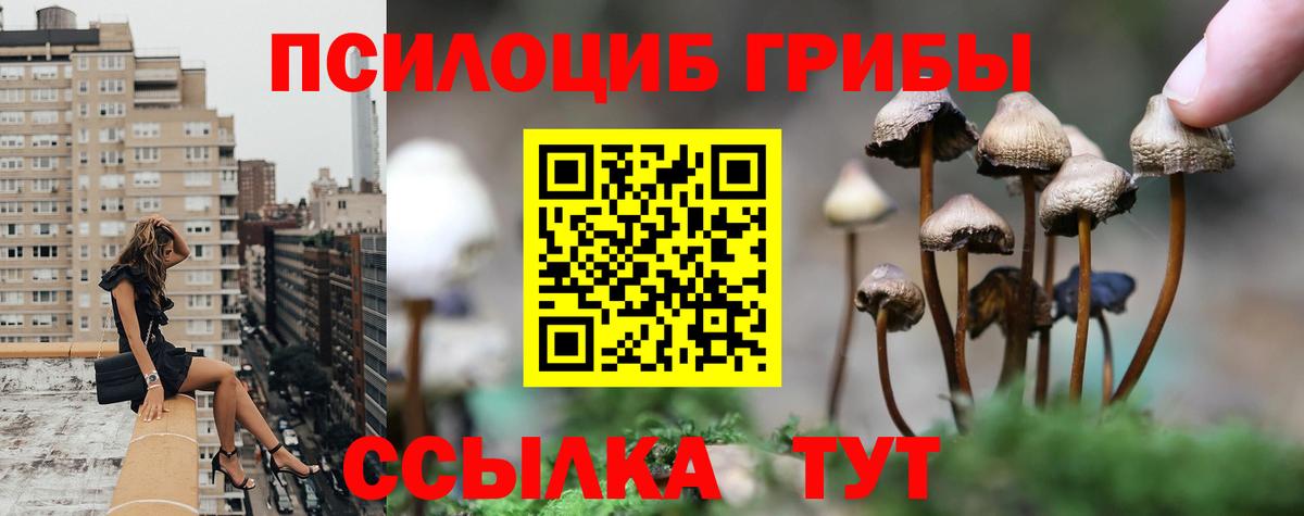 Нововоронеж  Псилоцибиновые грибы прущие грибы  Вход с VPN 